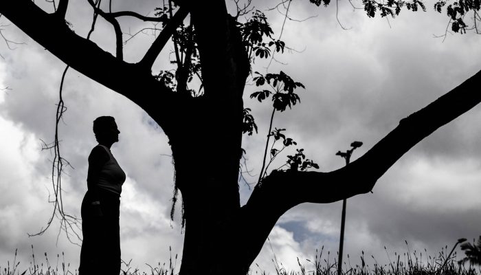 Remédios no SUS: mais da metade dos pedidos judiciais já tem aprovação, mas não acesso