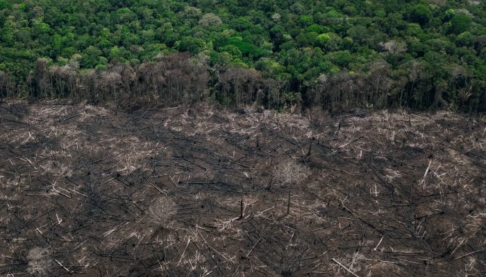 reportagem da Folha sobre estradas na Amazônia