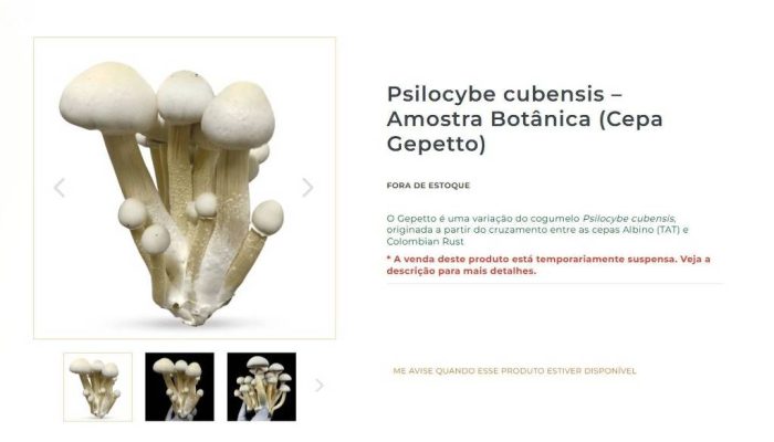 Reprodução Natureza Divina
