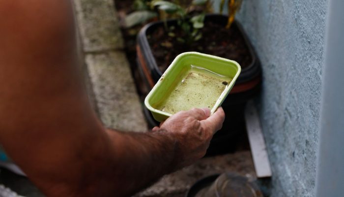 Risco de dengue e chikungunya cresce no Brasil com a chegada do El Niño