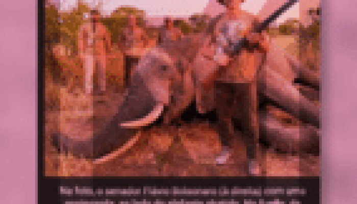 Imagem falsa de Flávio Bolsonaro com elefante morto é fruto de inteligência artificial