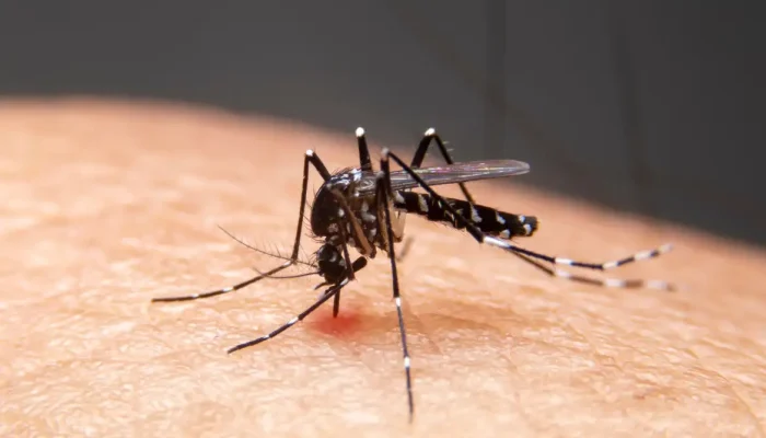 Impacto das mudanças climáticas no avanço de doenças infecciosas no Brasil