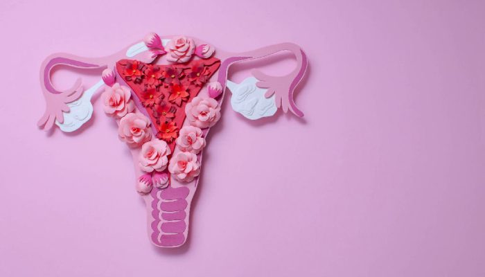 Irregularidade menstrual pode sinalizar Somp, a síndrome que impacta a saúde feminina