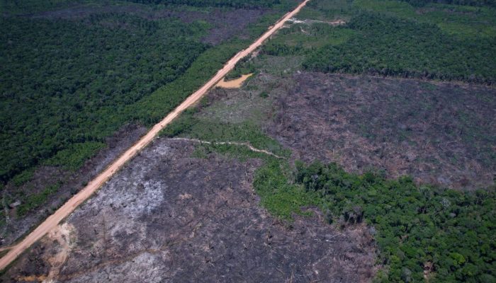 Ministério da Fazenda detalha regras para o quinto leilão do Eco Invest Brasil
