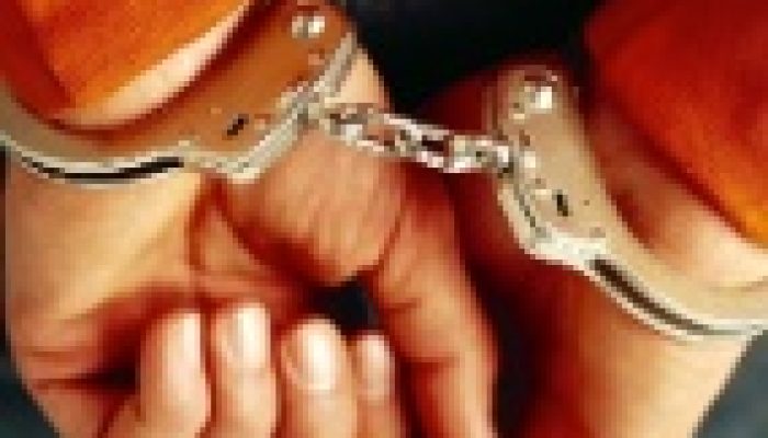 Ministério Público em Israel denuncia homem que espancou amiga e matou cão a facadas