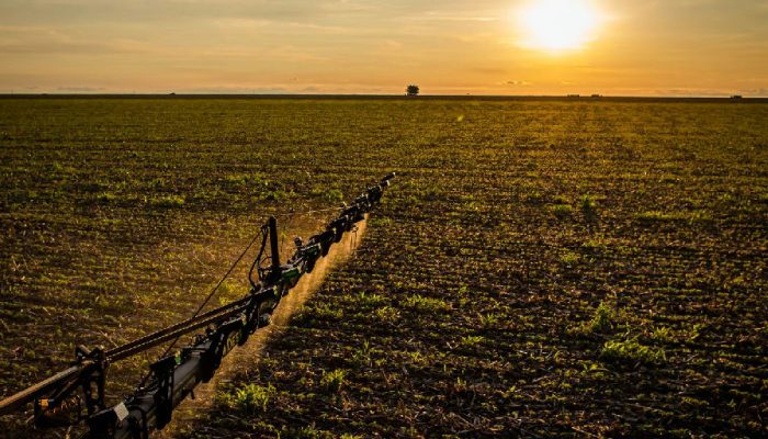 Novas regras do seguro rural ampliam proteção e facilitam acesso ao crédito