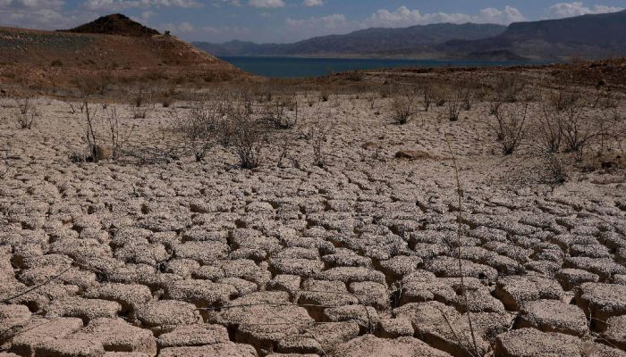Planeta deve ultrapassar limite de 1,5°C e ONU alerta para urgência de reversão climática