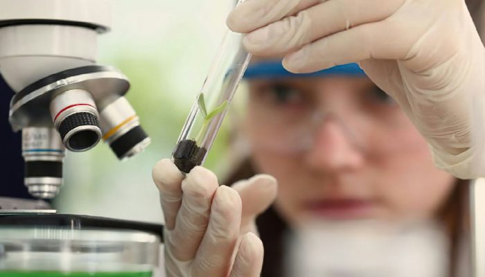 Programa Futuras Cientistas abre 470 vagas para imersão em laboratórios brasileiros