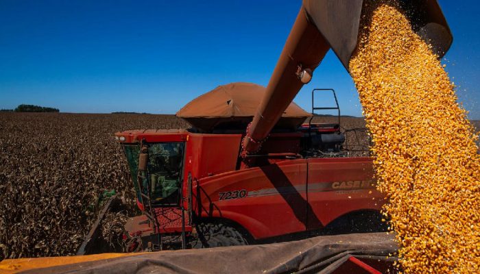 Safra de grãos deve atingir volume inédito de 354,5 milhões de toneladas em 2026 segundo o IBGE