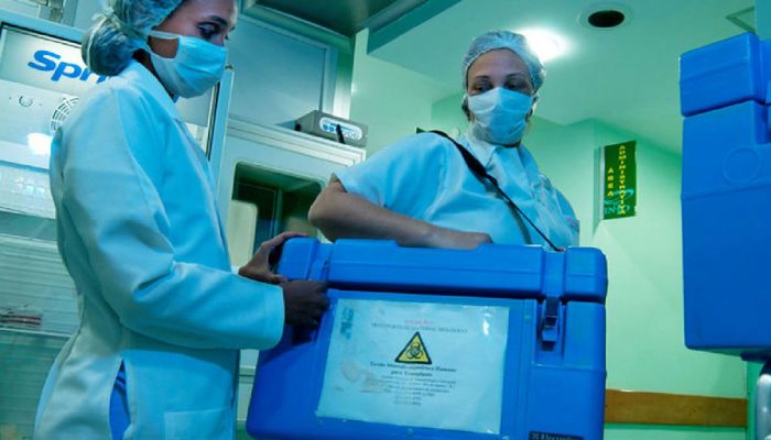 Setembro Verde destaca que idosos estão aptos a realizar doação de órgãos em vida