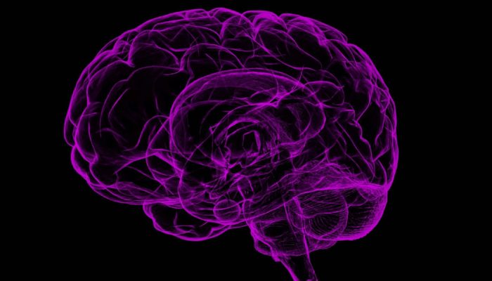 Tecnologia de ultrassom trata tremores de Parkinson sem necessidade de cirurgia
