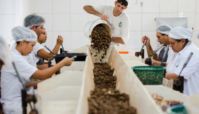 Último dia para opinar sobre bens sustentáveis no acordo Mercosul-ue