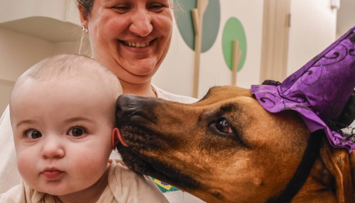 Visita de cães terapeutas em hospitais reduz estresse e melhora o bem-estar
