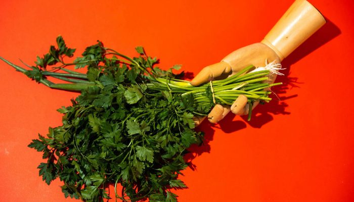 Vitamina K ganha destaque em estudo sobre saúde pulmonar e prevenção de doenças